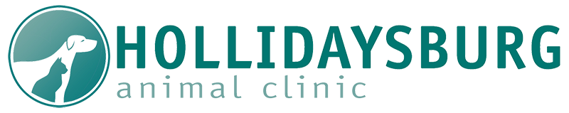 Hollidaysburg Animal Clinic